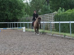 img_4600_web